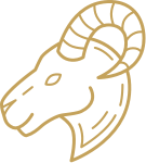 Aries Zodiac