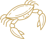 Cancer Zodiac