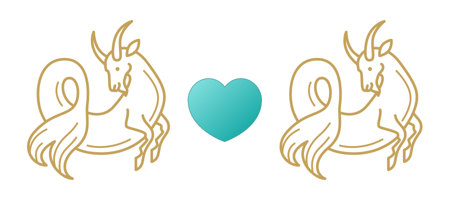 Capricorn & Capricorn Compatibility