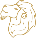 Leo Zodiac