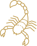 Scorpio Zodiac