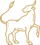 Taurus Zodiac